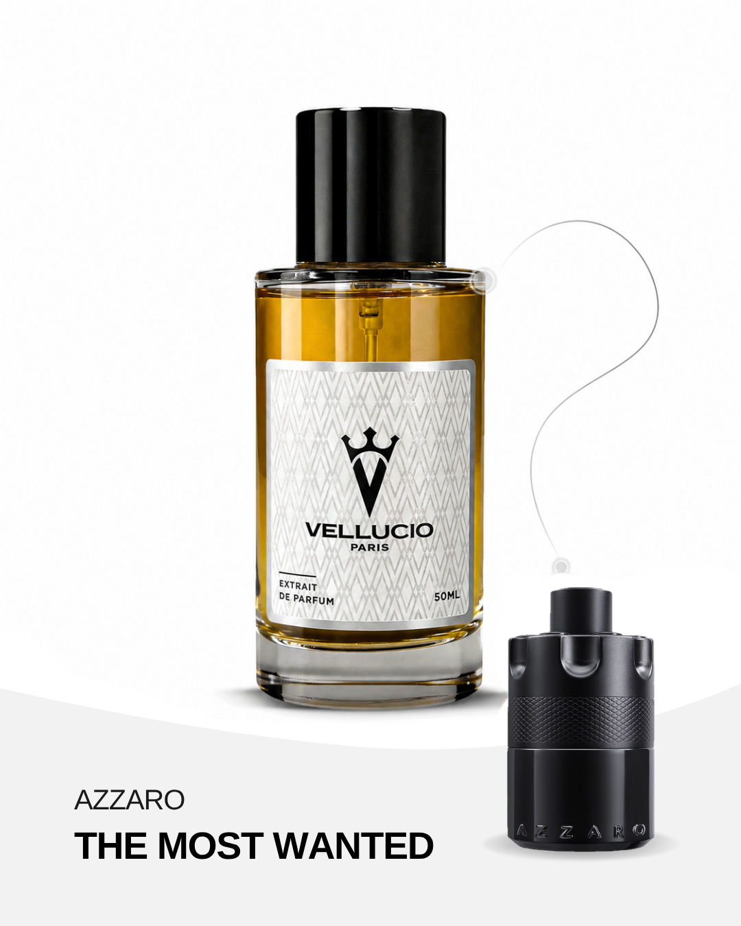 VELLUCIO PARIS® — The Most Wanted