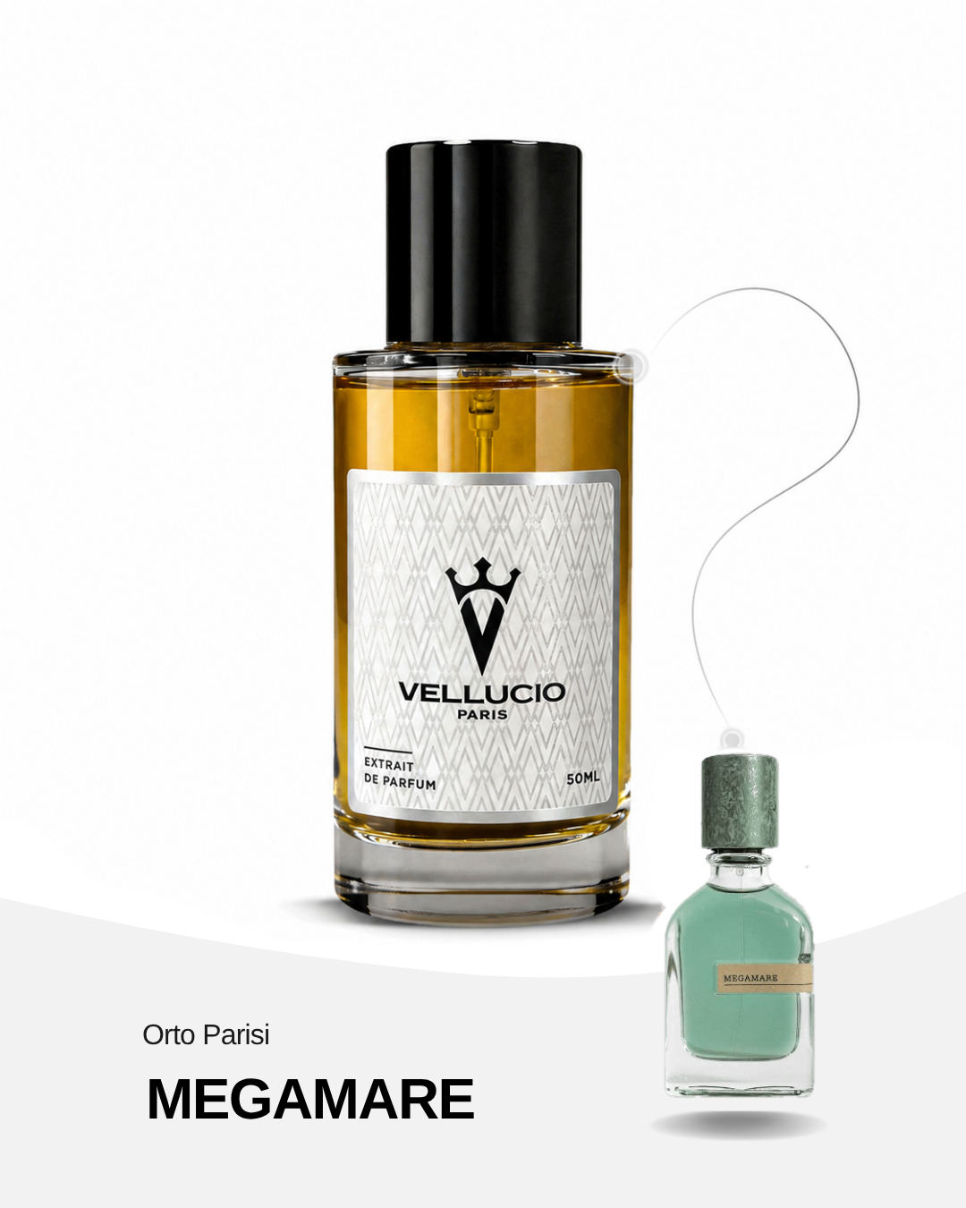 VELLUCIO PARIS® — Megamare