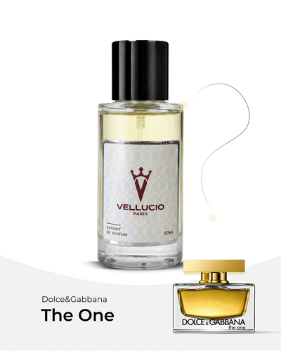 VELLUCIO PARIS® — Dolce & Gabbana The One