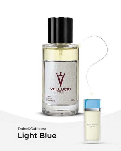 VELLUCIO PARIS® — Dolce & Gabbana Light Blue