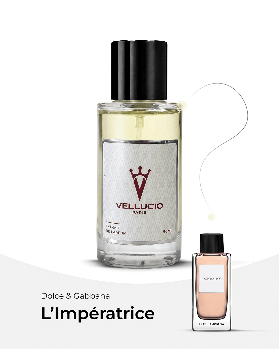 VELLUCIO PARIS® — Dolce &amp; Gabbana L&