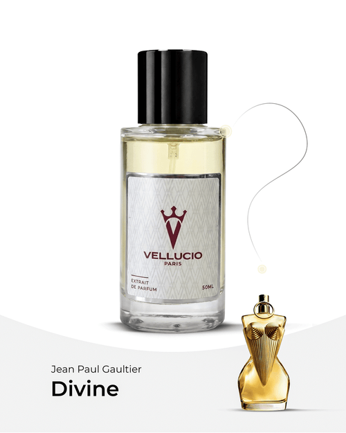 VELLUCIO PARIS® — Jean Paul Gaultier Divine