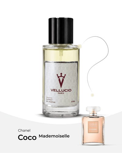 VELLUCIO PARIS® — Chanel Coco Mademoiselle