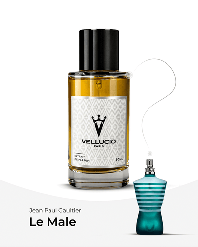 VELLUCIO PARIS® — Le Male