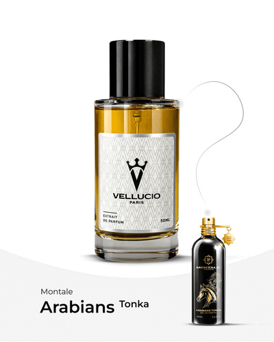 VELLUCIO PARIS® — Montale Arabians Tonka