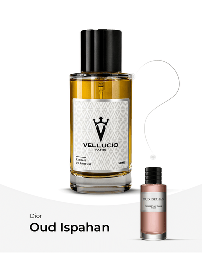 VELLUCIO PARIS® —Dior Oud Ispahan