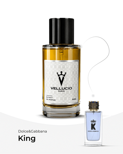 VELLUCIO PARIS® — Dolce & Gabbana Kling