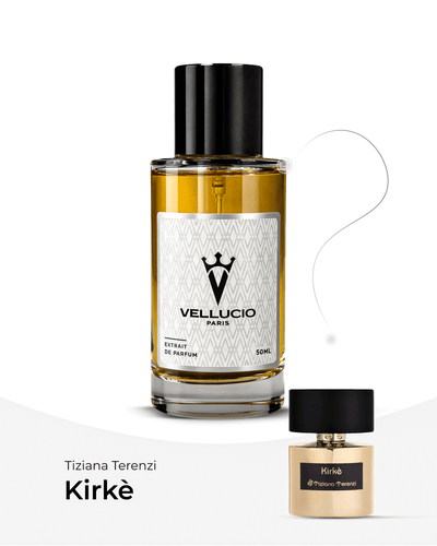VELLUCIO PARIS® — Tiziana Terenzi Kirke
